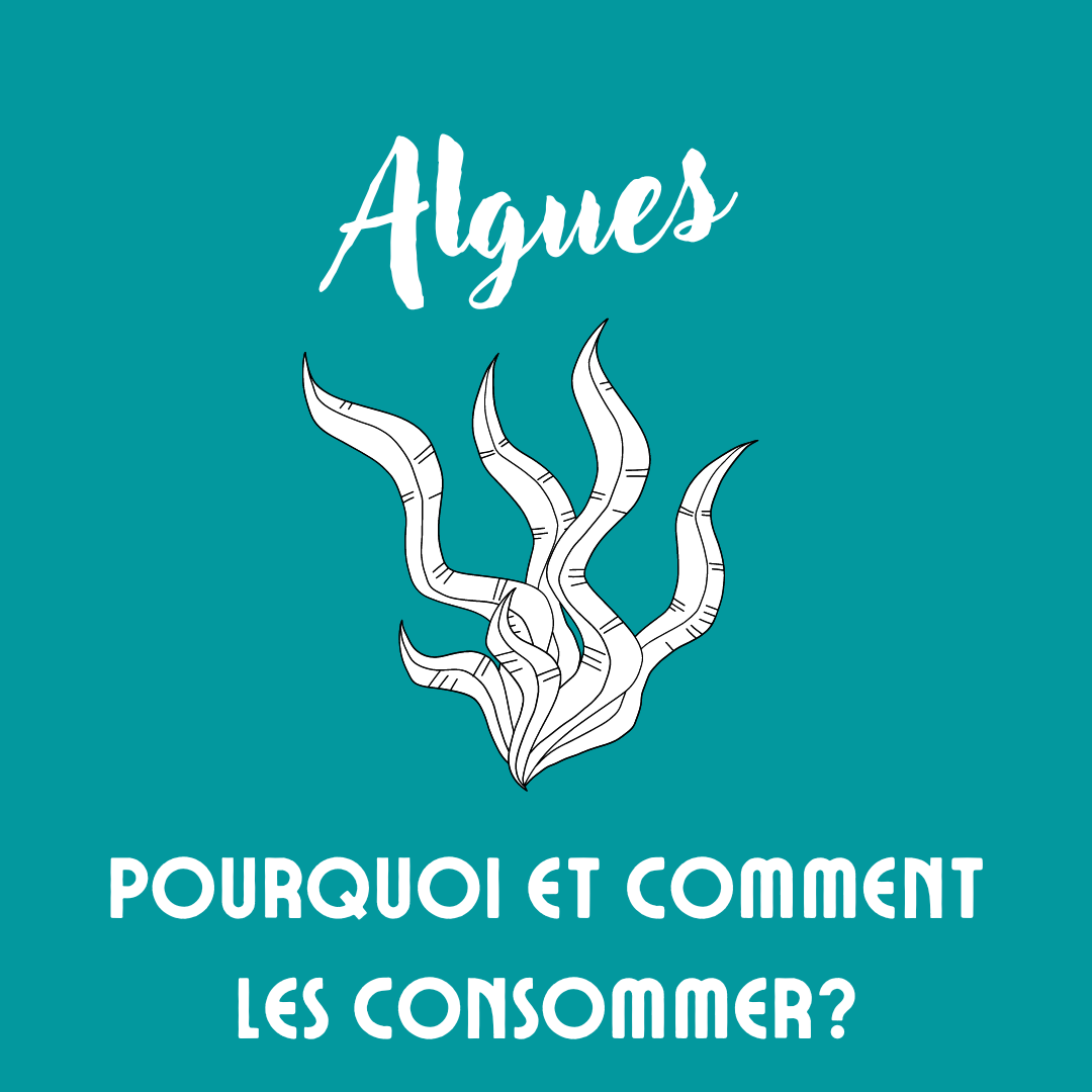 Les algues, pourquoi et comment les consommer?