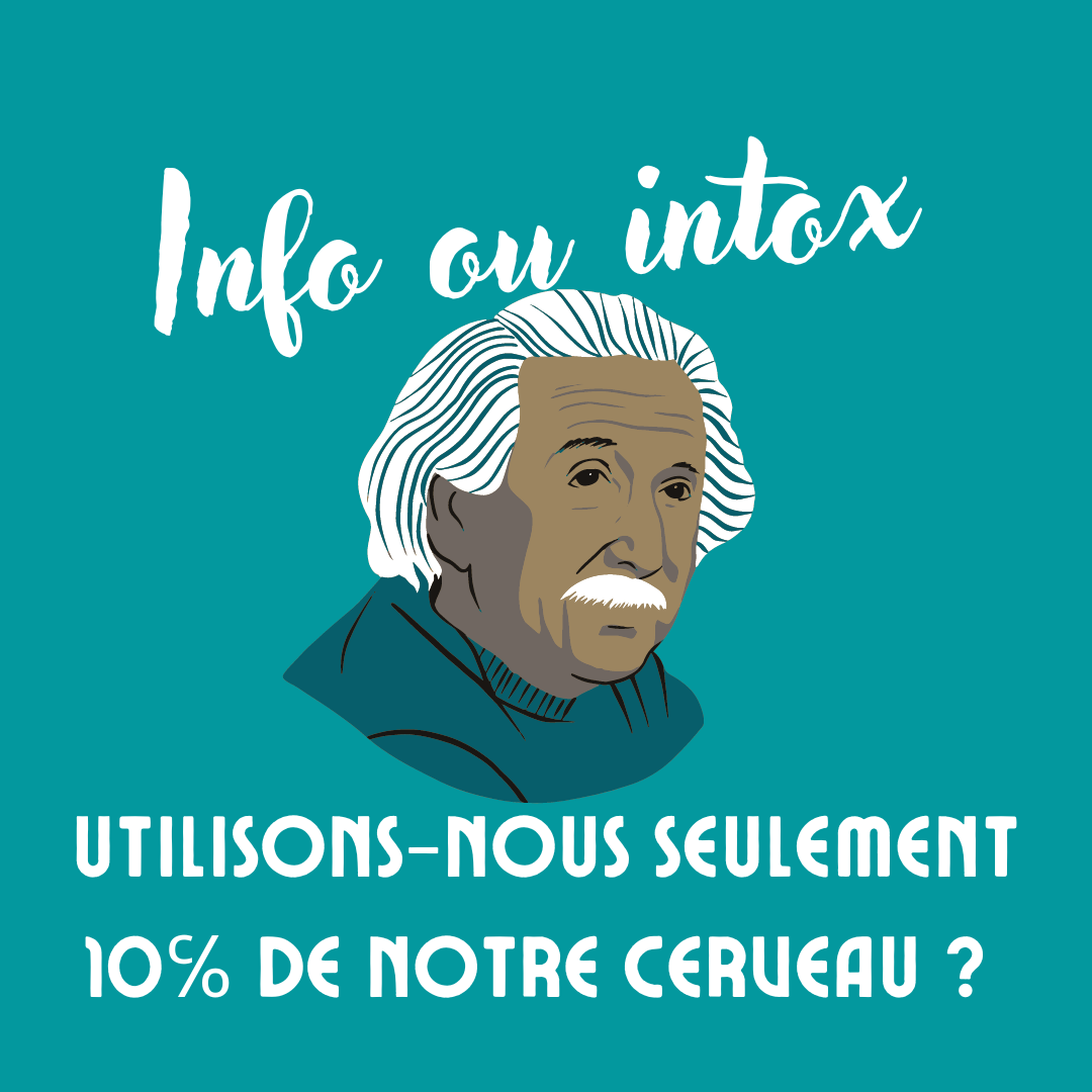 Utilisons-nous seulement 10℅ de notre cerveau?